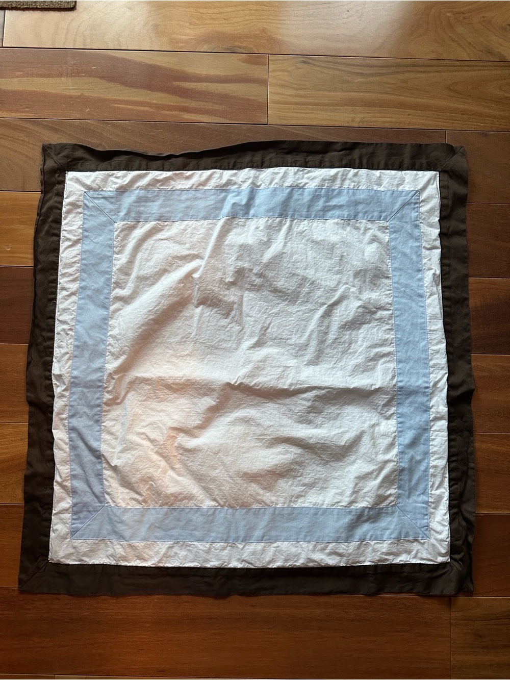 Restoration Hardware RH Euro Sham with Blue and Brown Border